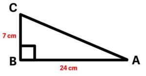 Question 1, Exercise 8.1, Chapter 8, Trigonometry