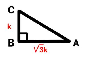 Question 9, Exercise 8.1, Chapter 8, Trigonometry